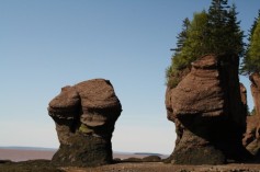 Hopewell Rocks, NB
